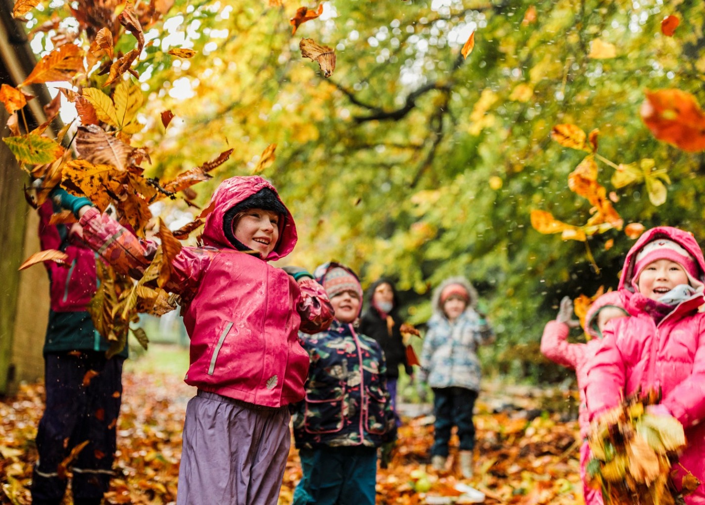 Do Experiences With Nature Promote Learning?  supporting image