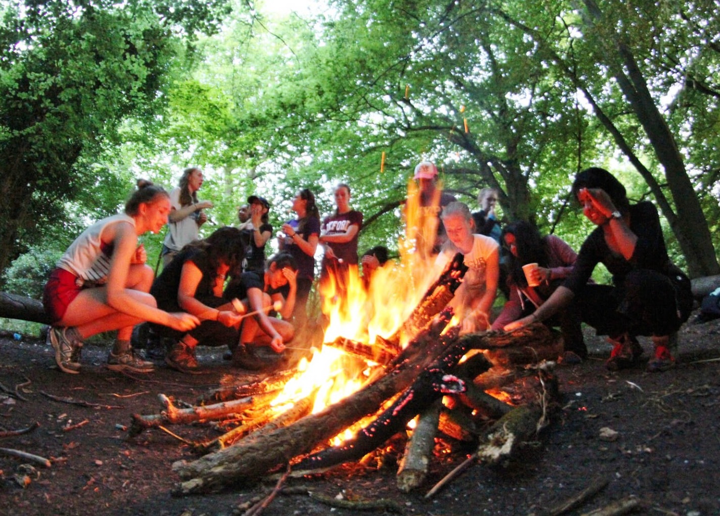 Campfire and bushcraft supporting image